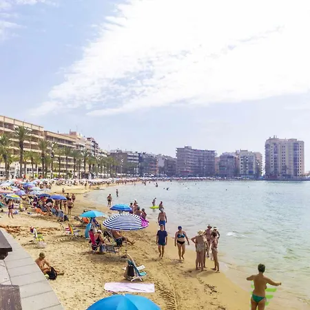 Pink Holidays - Winter By The